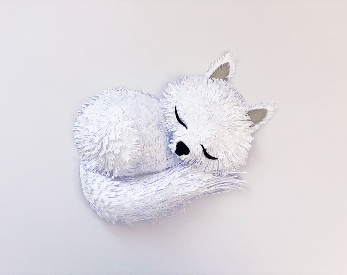 White paper fox