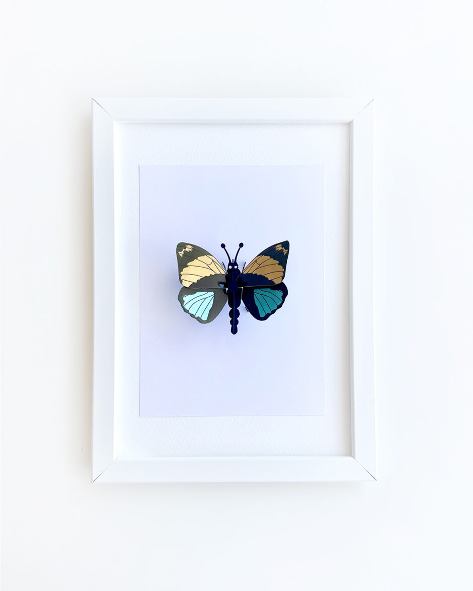 Mariposa Agrias Amydon Rompecabezas 3D