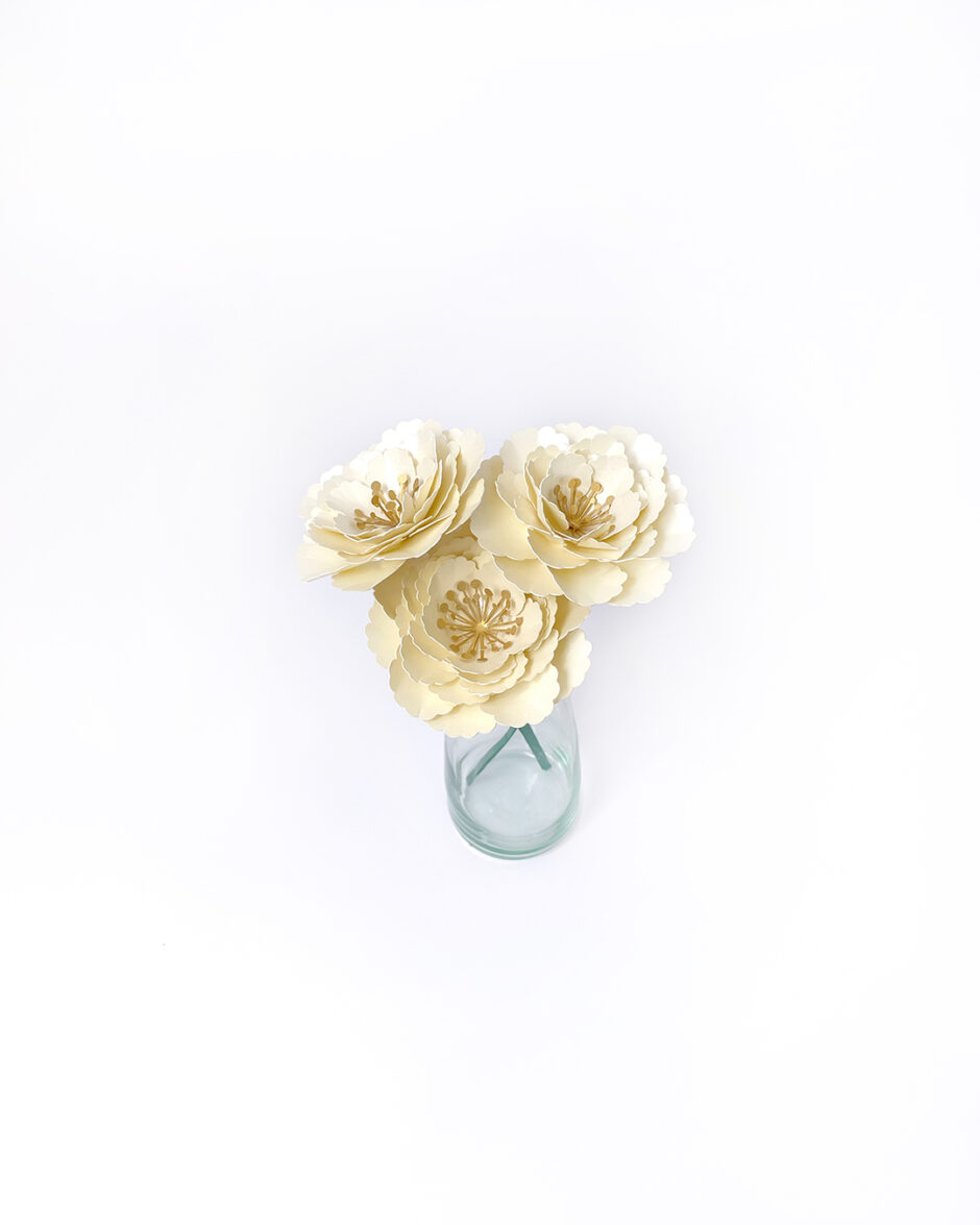 Rosas Crema Set x3 - Imagen 2