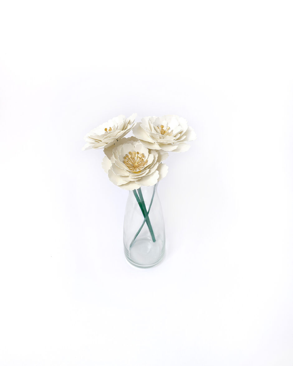 Rosas Blancas Set x3