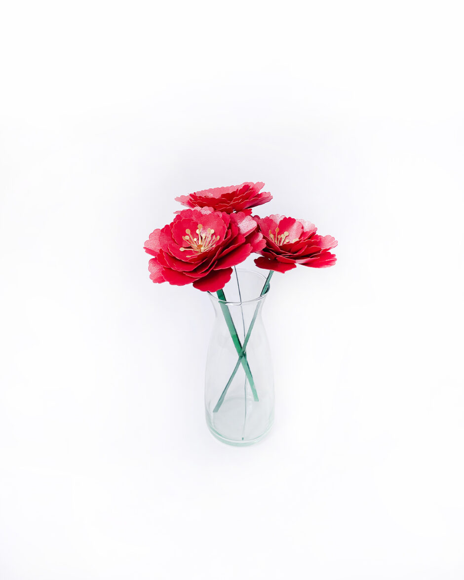 Rosas Rojas Set x3