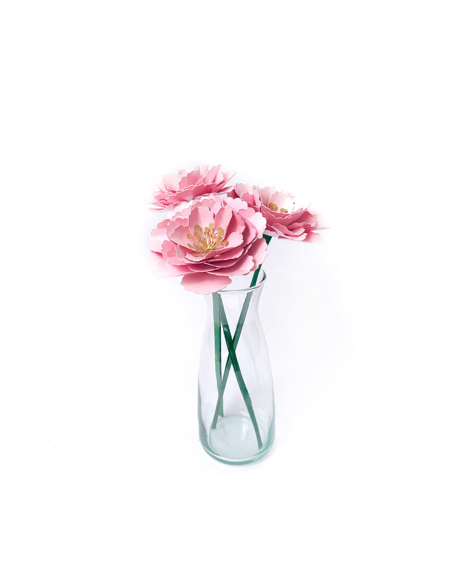 Rosas Rosadas Set x3