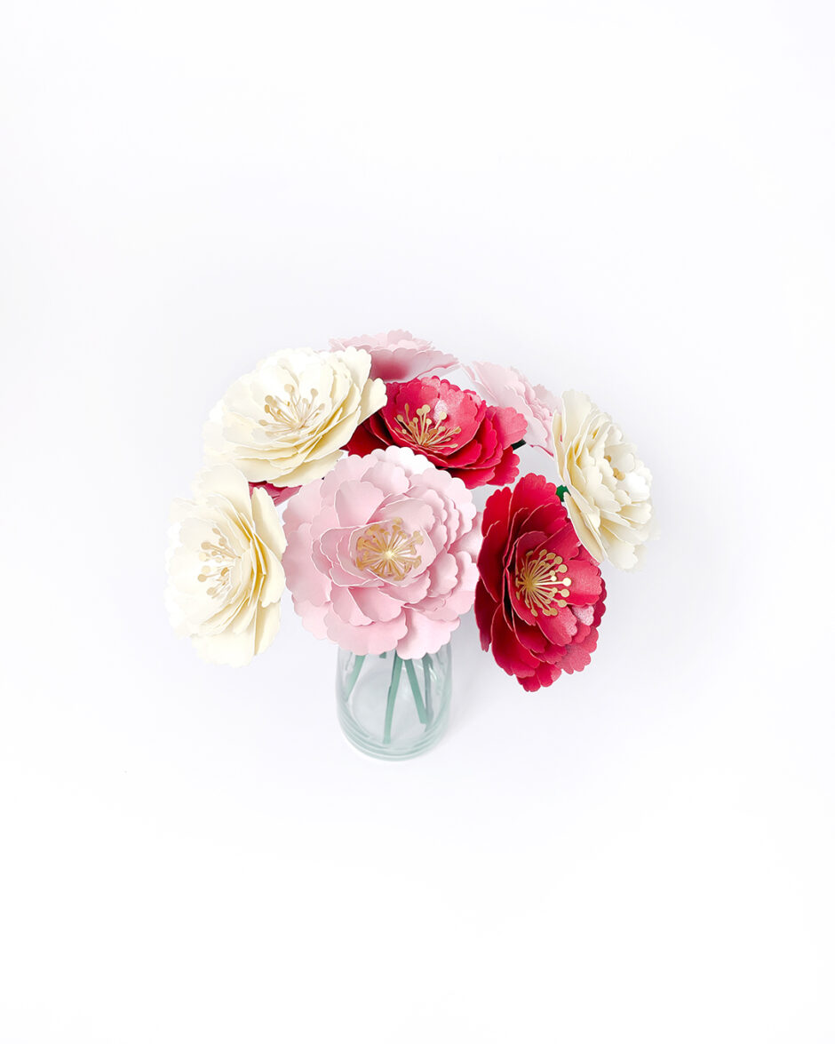 Rosas Crema Set x3 - Imagen 3