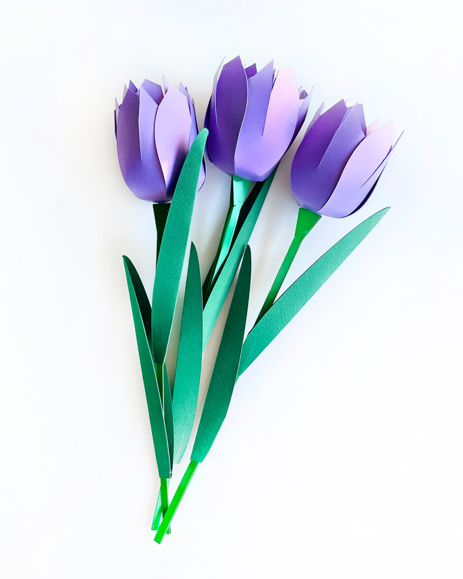 Tulipanes Morados Set x3 - Imagen 3
