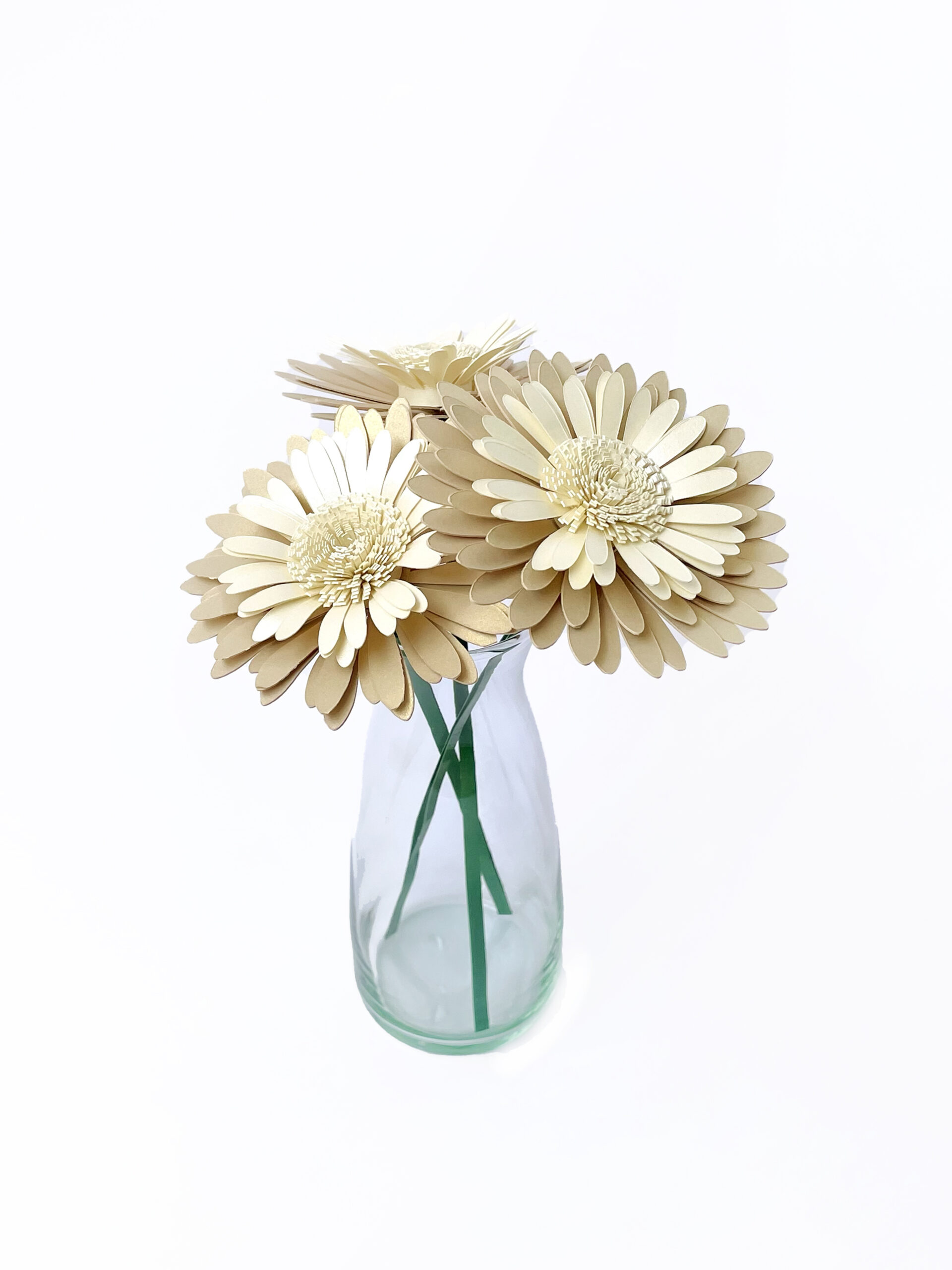 Margaritas Crema Set x3