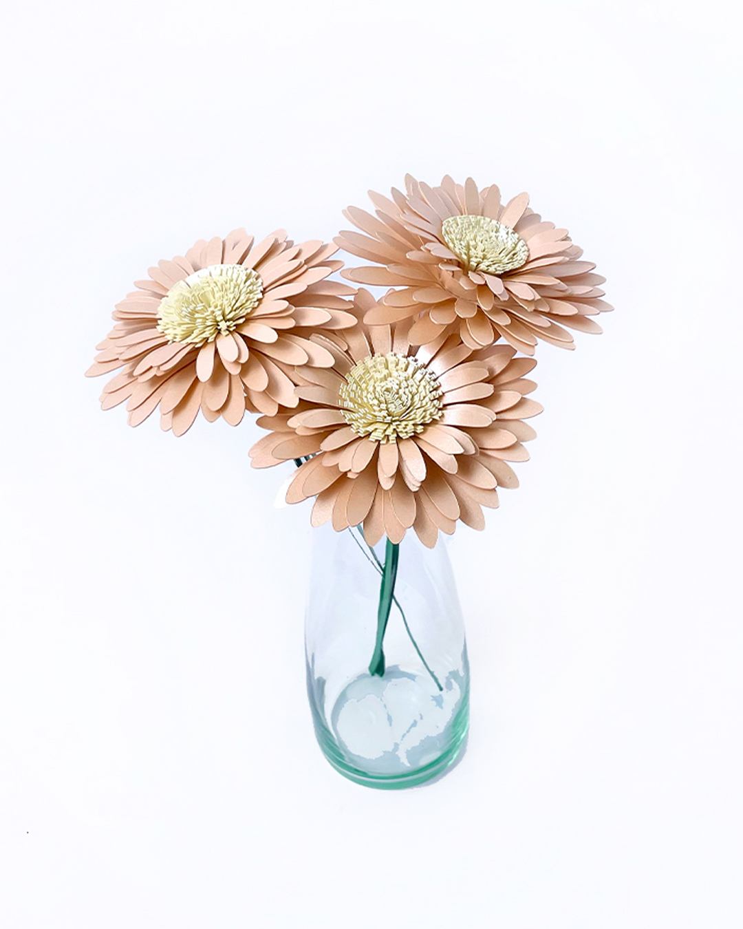 Margaritas Rosadas Set x3