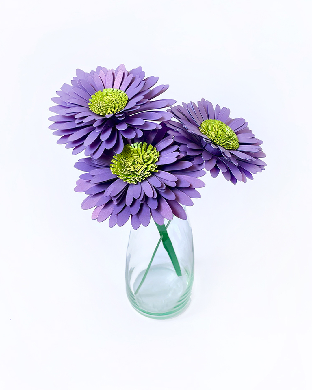 Margaritas Moradas Set x3