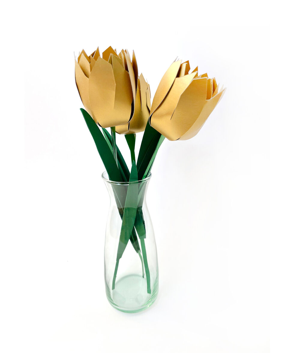Tulipanes Dorados Set x3