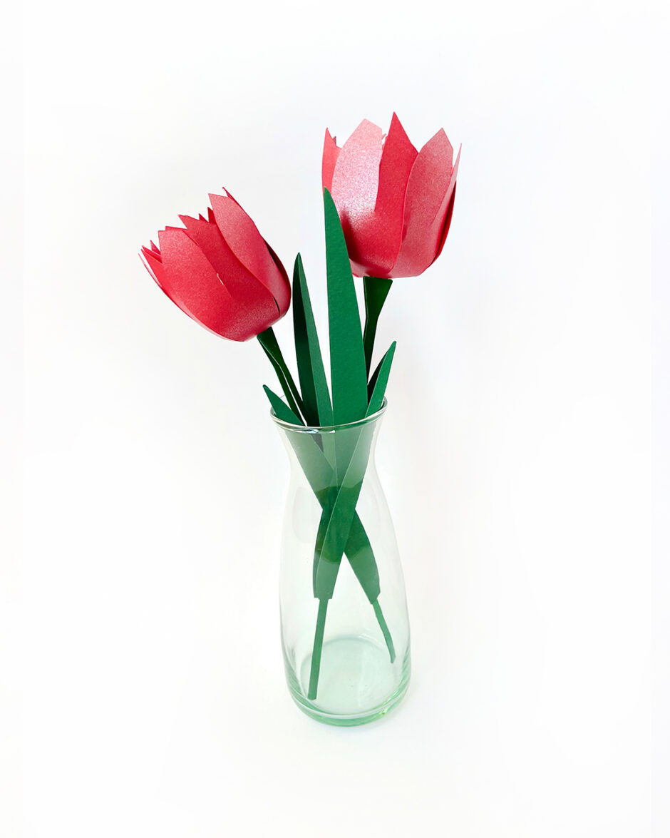 Tulipanes Rojos Set x3