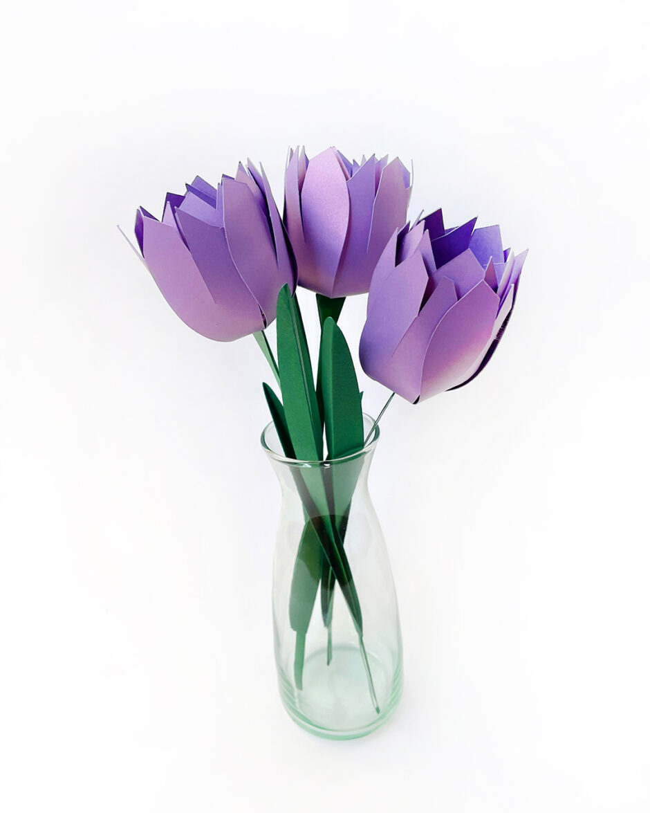 Tulipanes Morados Set x3
