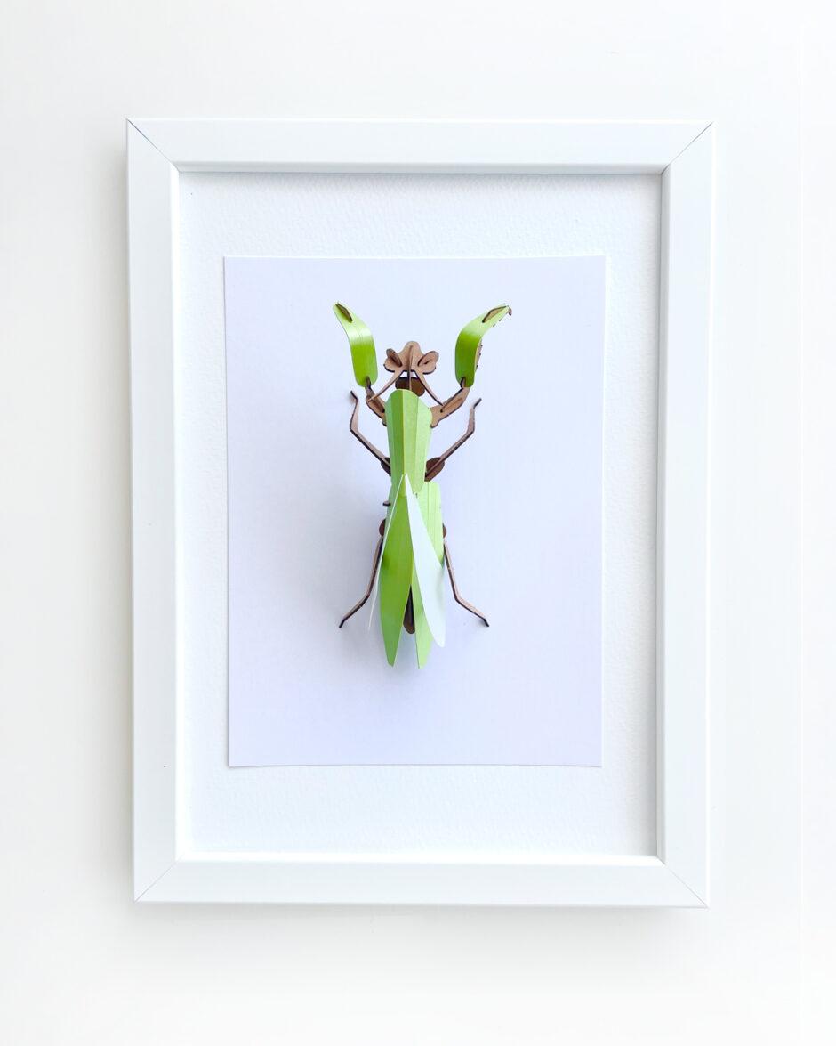 Mantis Rompecabezas 3D