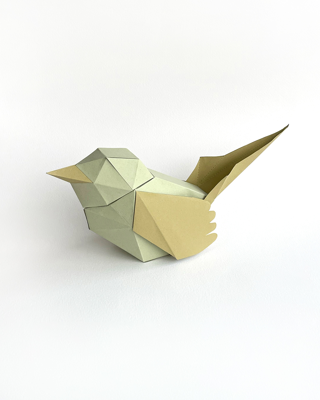 Par de Pajaros