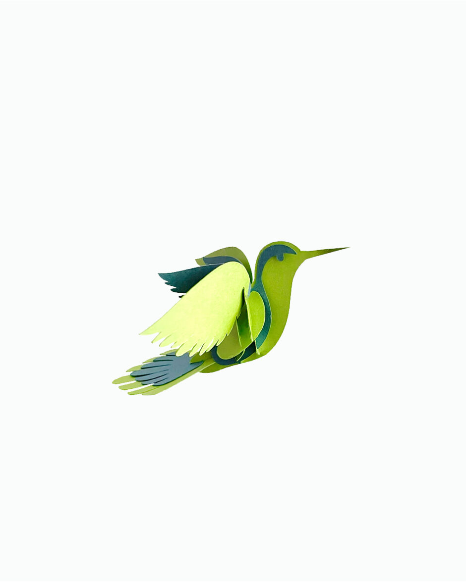 Colibrí 3D